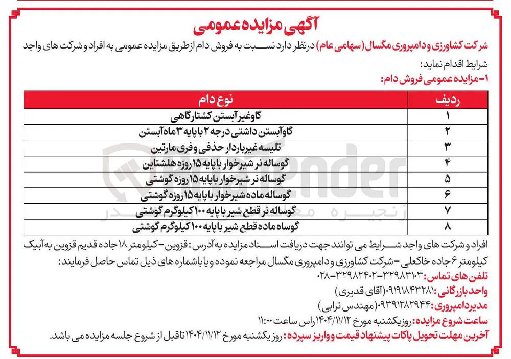 گاو آبستن داشتی درجه ۲