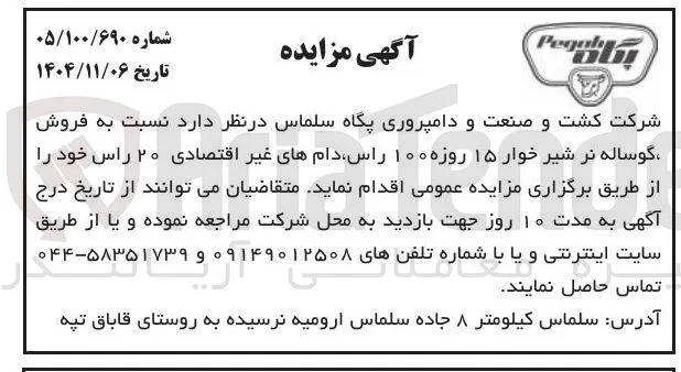  فروش گوساله نر شیر خوار ۱۵ روزه ۱۰۰ راس دام های غیر اقتصادی ۲۰ راس خود