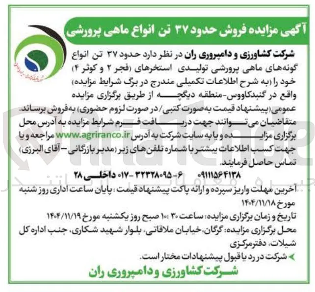  فروش حدود ۳۷ تن انواع ماهی پرورشی 