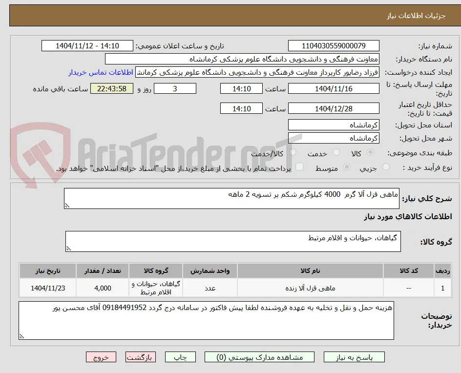 ماهی قزل آلا گرم  4000 کیلوگرم شکم پر تسویه 2 ماهه