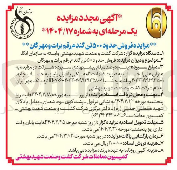فروش حدود ۵۰۰ تن گندم رقم برات و مهرگان