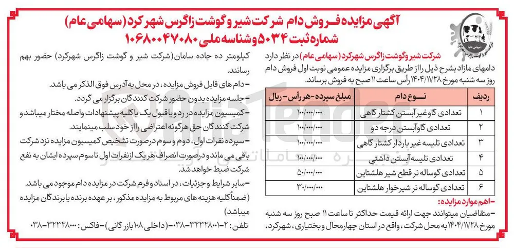 تعدادی تلیسه غیر باردار کشتارگاهی 
