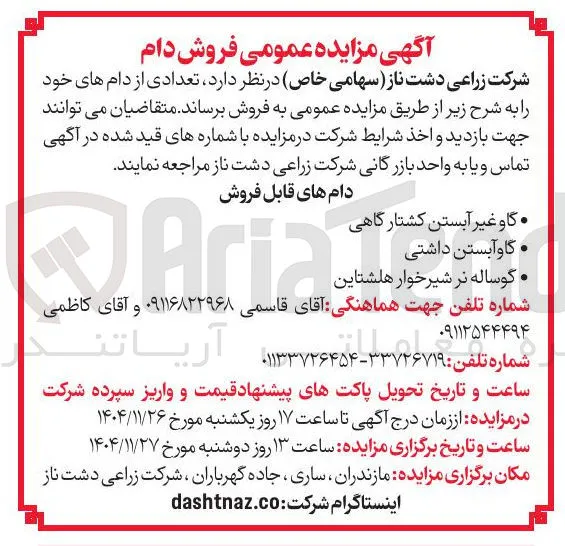 . گوساله نر شیرخوار هلشتاین 
