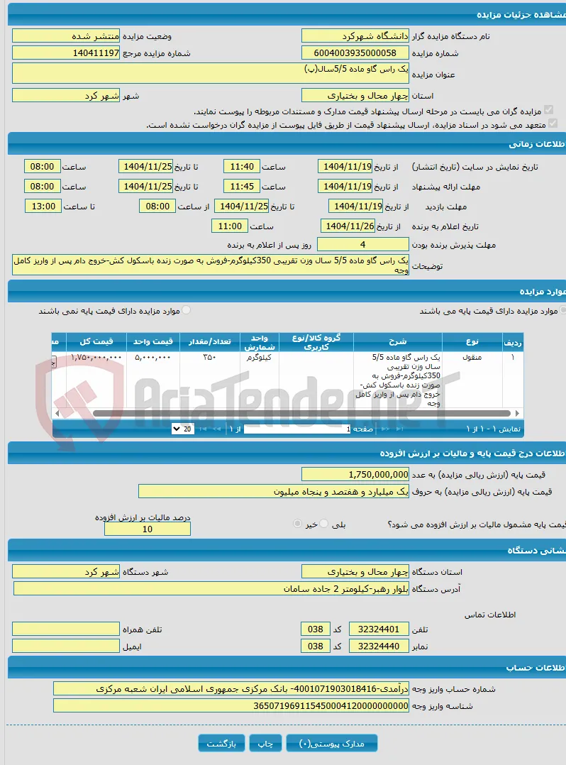 یک راس گاو ماده 5/5سال(پ)