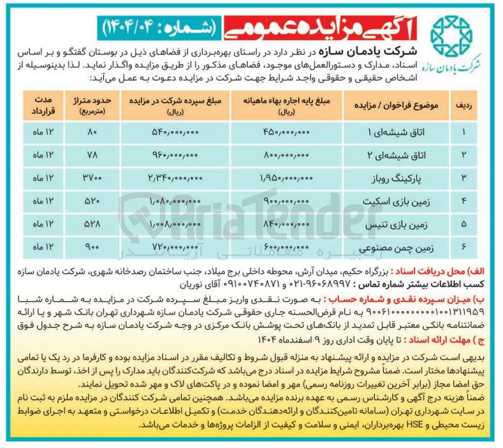 زمین بازی اسکیت 
