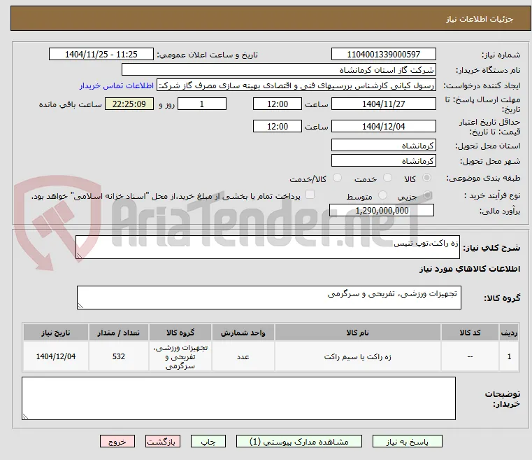 زه راکت،توپ تنیس
