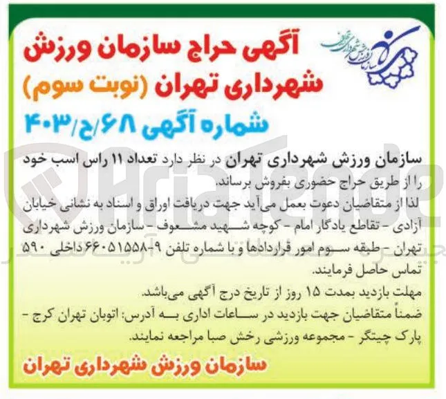 فروش تعداد ۱۱ راس اسب
