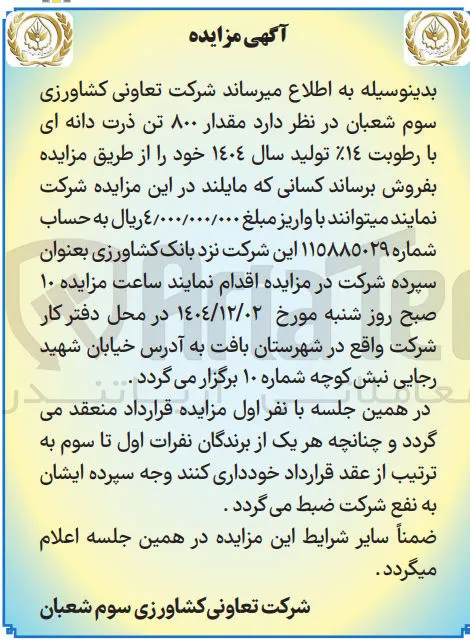 فروش مقدار ۸۰۰ تن ذرت دانه ای