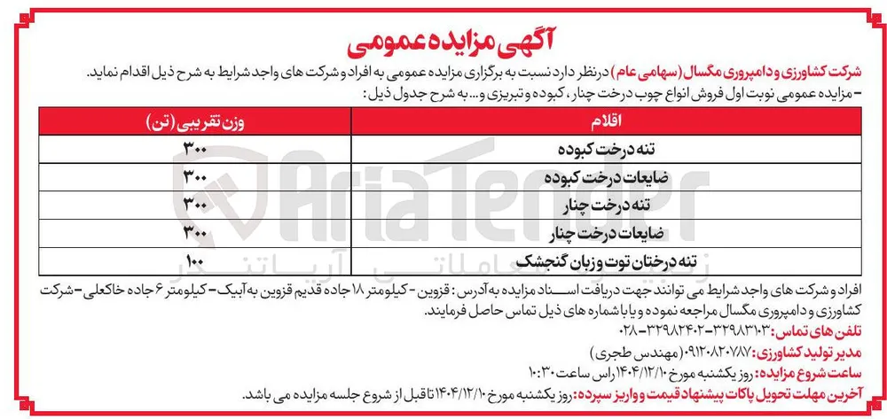 فروش انواع چوب درخت چنار کبوده و تبریزی و ...