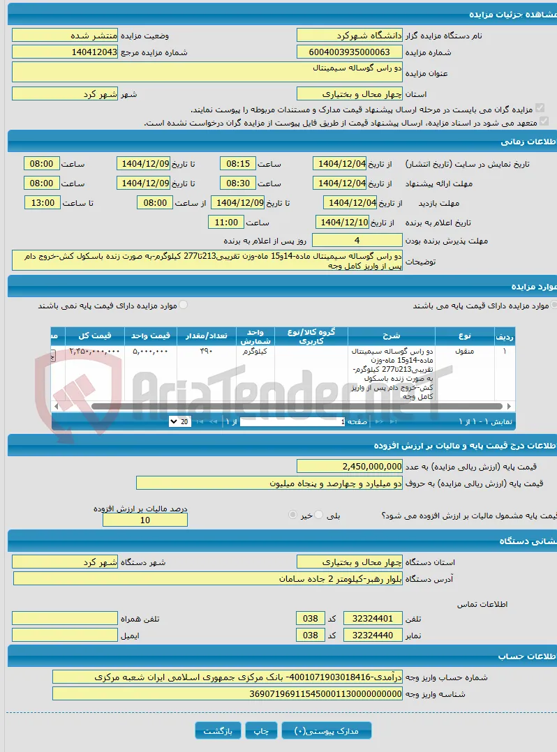 دو راس گوساله سیمینتال