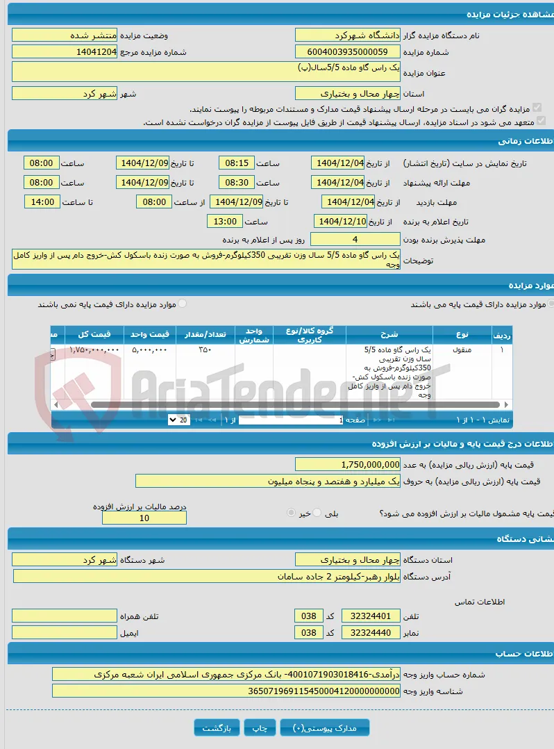 یک راس گاو ماده 5/5سال(پ)