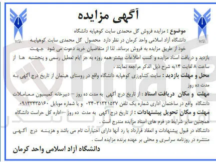 فروش گل محمدی 