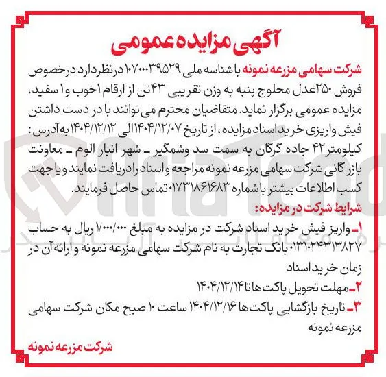 فروش ۲۵۰ عدل محلوج پنبه به وزن تقریبی ۴۳ تن