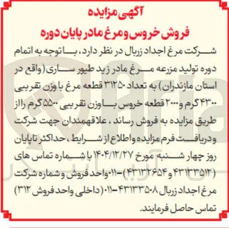  مازندران به تعداد ۳۱۲۵۰ قطعه مرغ با وزن تقریبی ۴۳۰۰ گرم و ۲۰۰۰ قطعه خروس با وزن تقریبی ۵۵۰۰ گرم