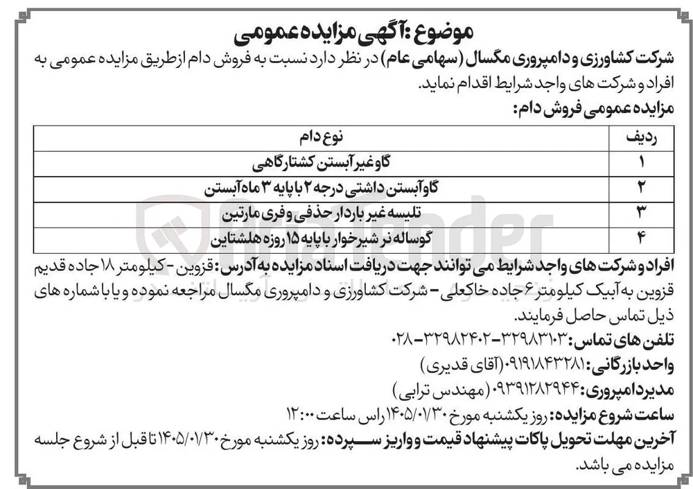 فروش دام مازاد در 4 ردیف :گاو غیر آبستن کشتارگاهی گاو آبستن داشتی درجه ۲ با پایه ۳ ماه آبستن تلیسه غیر باردار حذفی و فری مارتین گوساله نر شیر خوار با پایه ۱۵ روزه هلشتاین