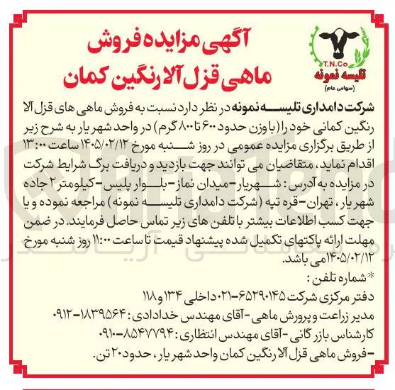 فروش ماهی های قزل آلا رنگین کمانی