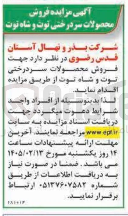 فروش محصولات سر درختی توت و شاه توت