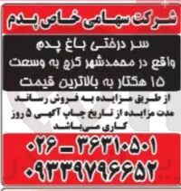 فروش سردرختی