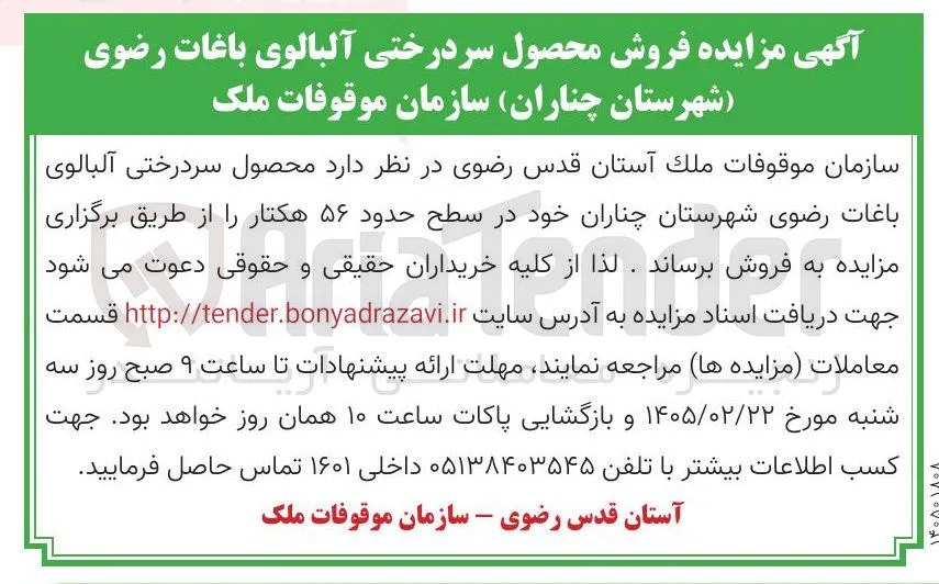 فروش محصول سردرختی آلبالوی باغات 