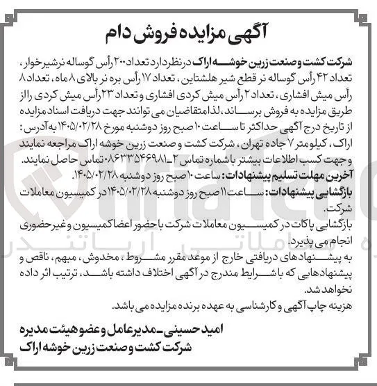 فروش دام