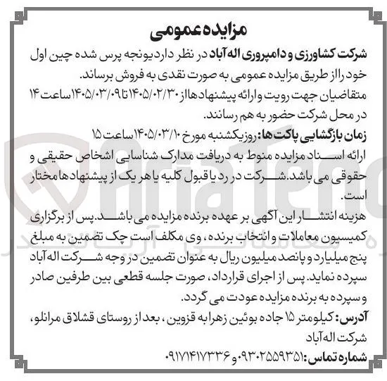 فروش یونجه پرس شده چین اول
