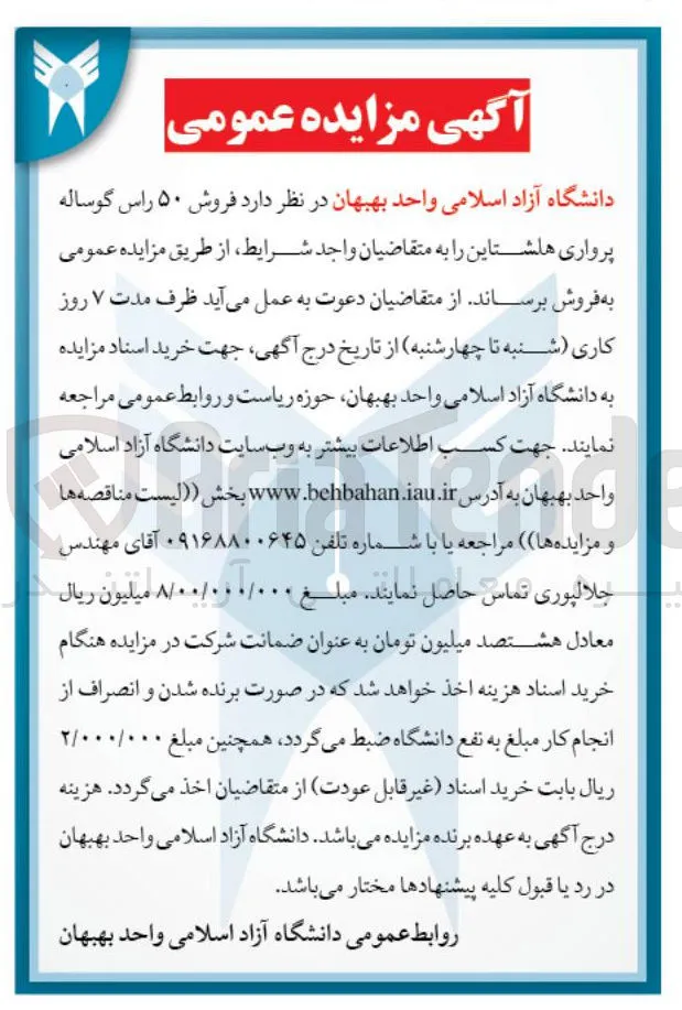 فروش ۵۰ راس گوساله پرواری هلشتاین