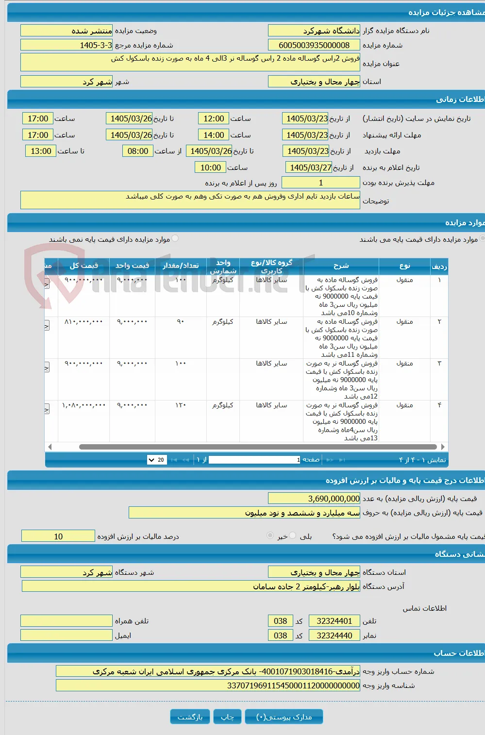 فروش 2راس گوساله ماده 2 راس گوساله نر 3الی 4 ماه به صورت زنده باسکول کش