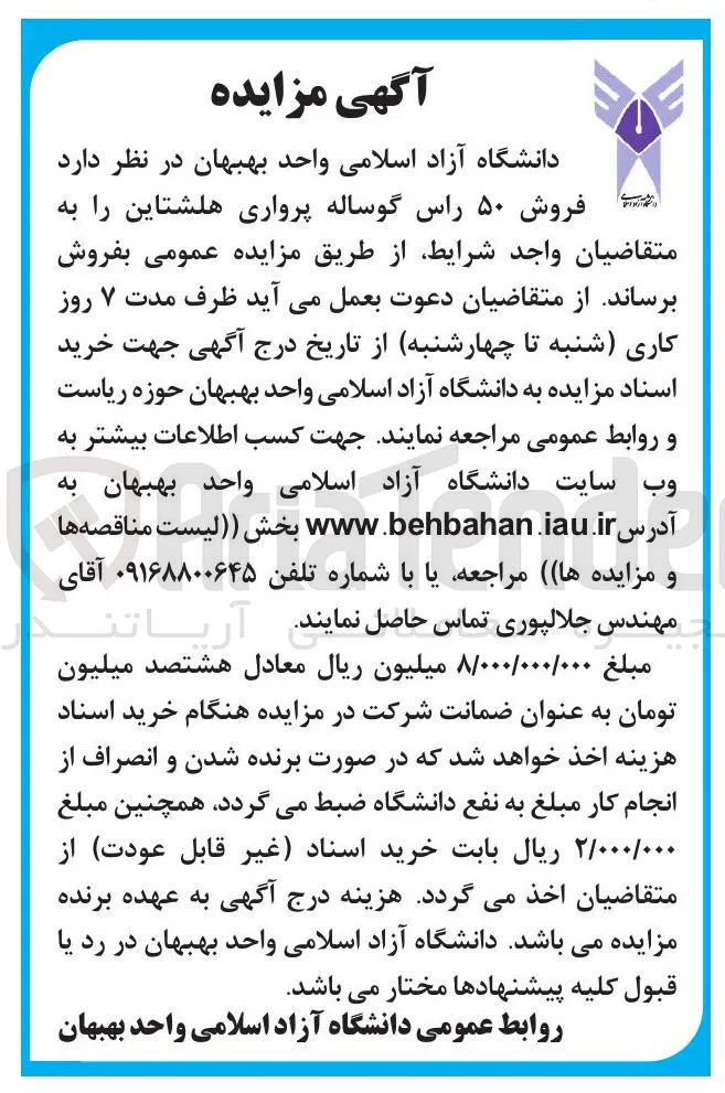 فروش ۵۰ راس گوساله پرواری هلشتاین 
