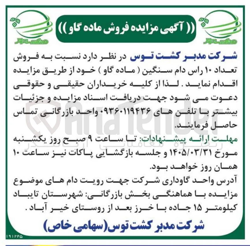 فروش تعداد ۱۰ راس دام سنگین ( ماده گاو ) 