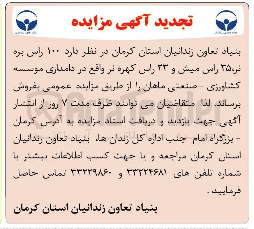 فروش ۱۰۰ راس بره ، نر ۳۵ راس میش و ۲۳ راس کهره نر 