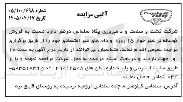 فروش گوساله نر شیرخوار ۱۵ روزه و دام های غیر اقتصادی