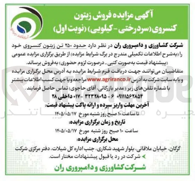 فروش ۲۵۰ تن زیتون کنسروی