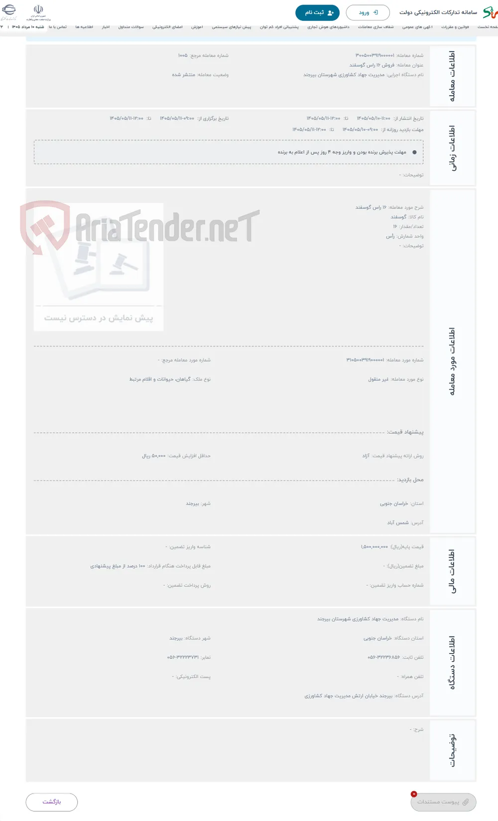حراج 16 راس گوسفند