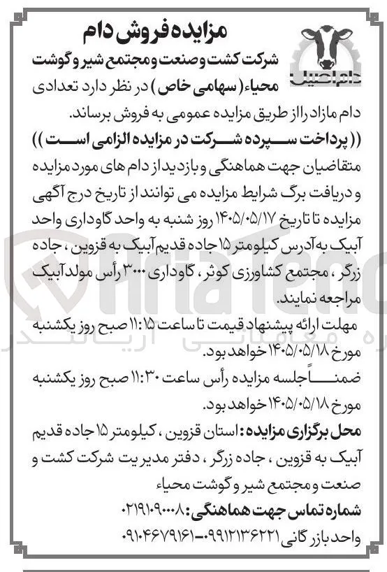 فروش دام