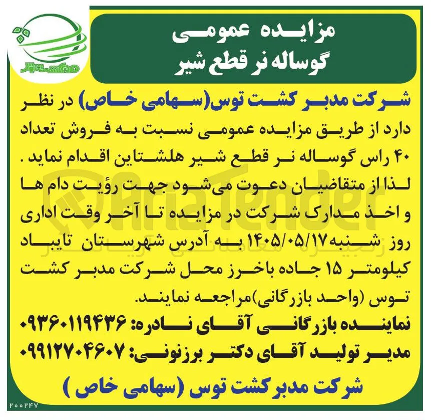 فروش تعداد ۴۰ راس گوساله نر قطع شیر هلشتاین