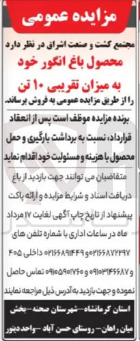 فروش ۱۰ تن انگور
