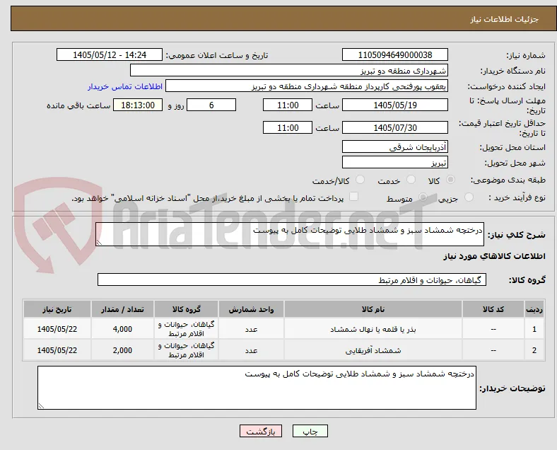 درختچه شمشاد سبز و شمشاد طلایی توضیحات کامل به پیوست