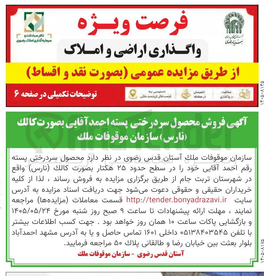 فروش محصول سر درختی پسته احمد آقایی بصورت كالك