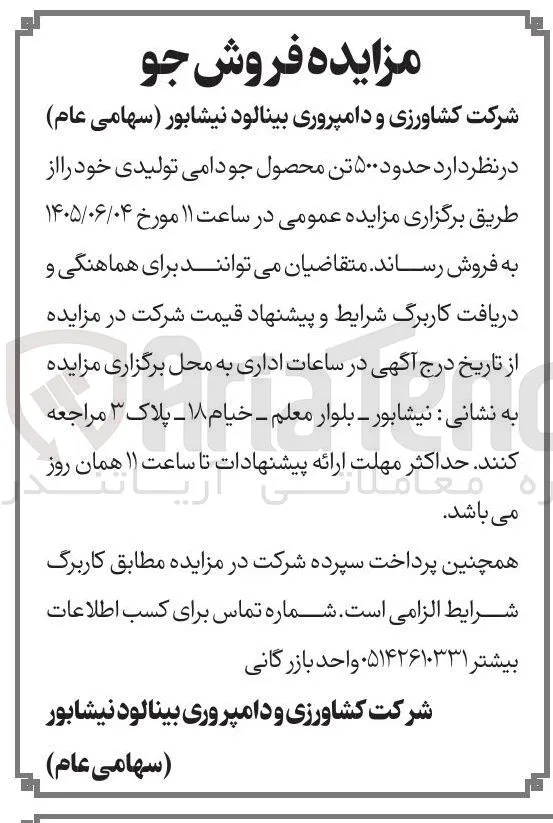 فروش حدود ۵۰۰ تن محصول جو دامی تولیدی