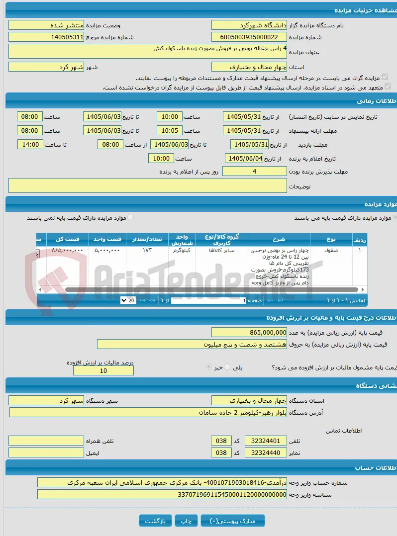 4 راس بزغاله بومی نر فروش بصورت زنده باسکول کش