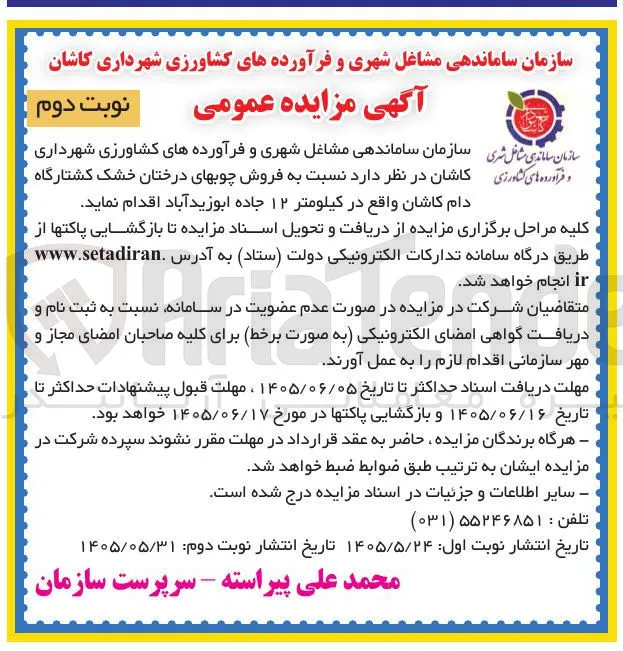 فروش چوب های درختان خشک کشتارگاه دام کاشان
