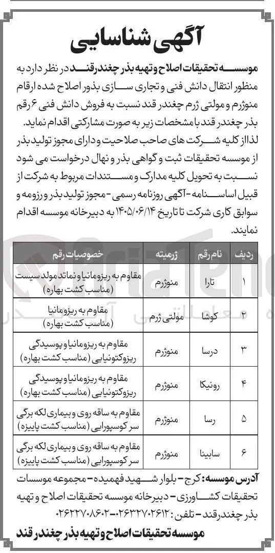 فروش دانش فنی ۶ رقم بذر چغندر قند به صورت مشارکتی