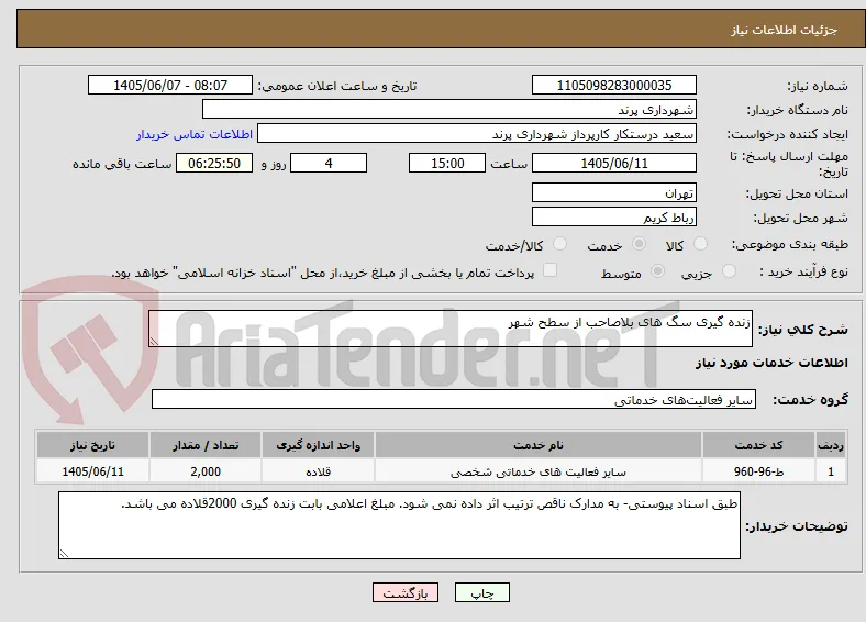زنده گیری سگ های بلاصاحب از سطح شهر