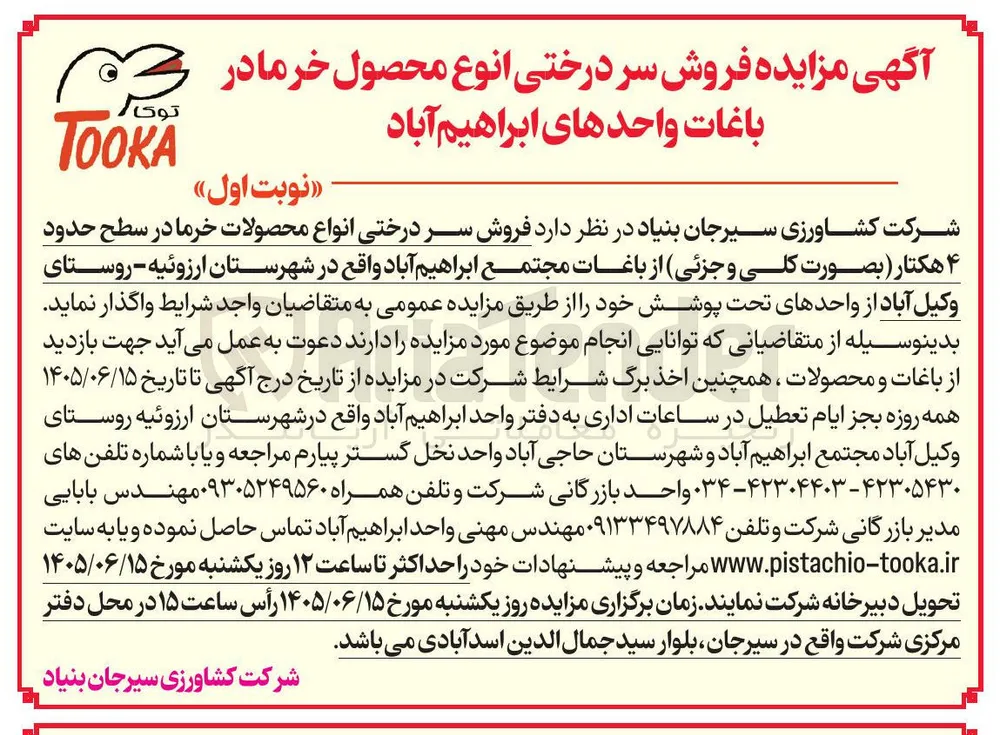فروش سر درختی انواع محصول خرما