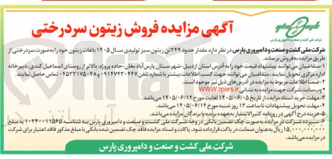 فروش زیتون سردرختی
