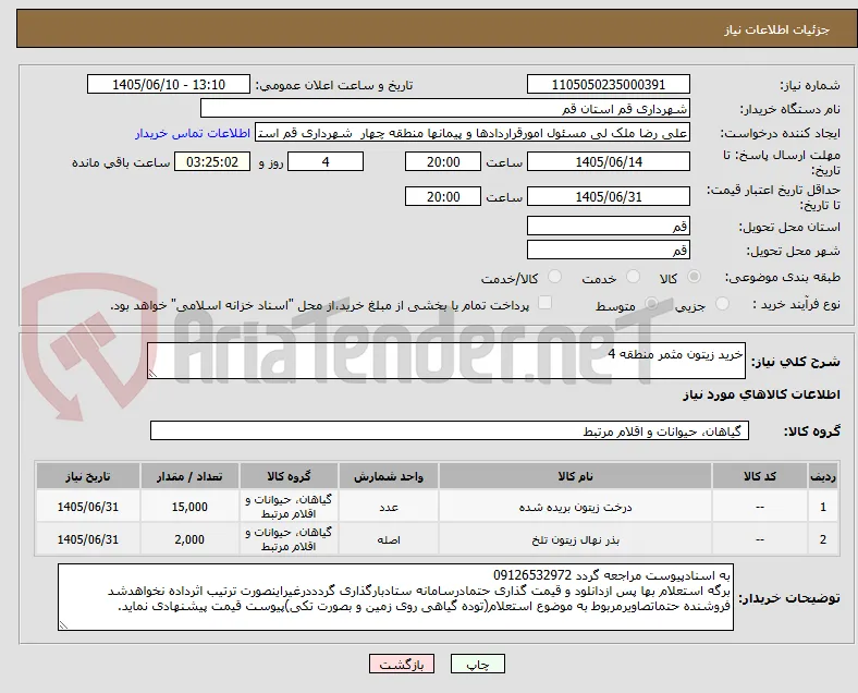 خرید زیتون مثمر منطقه 4