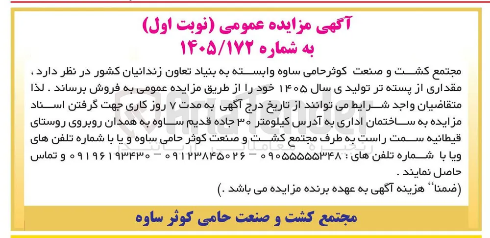 فروش مقداری پسته تر