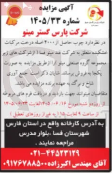 فروش ۴۰۰۰ اصله چوب درخت مرکبات خشکیده
