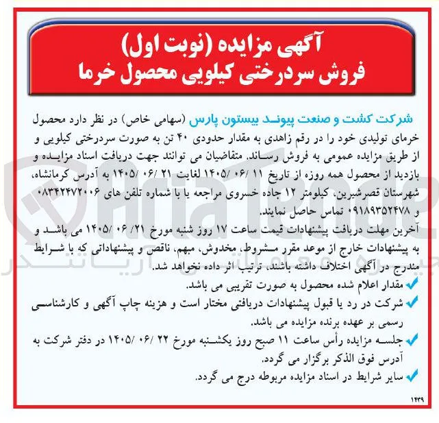 فروش سردرختی کیلویی محصول خرما