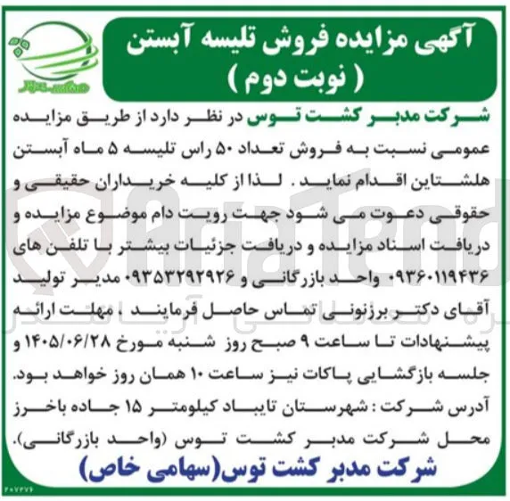 فروش ۵۰ راس تلیسه آبستن